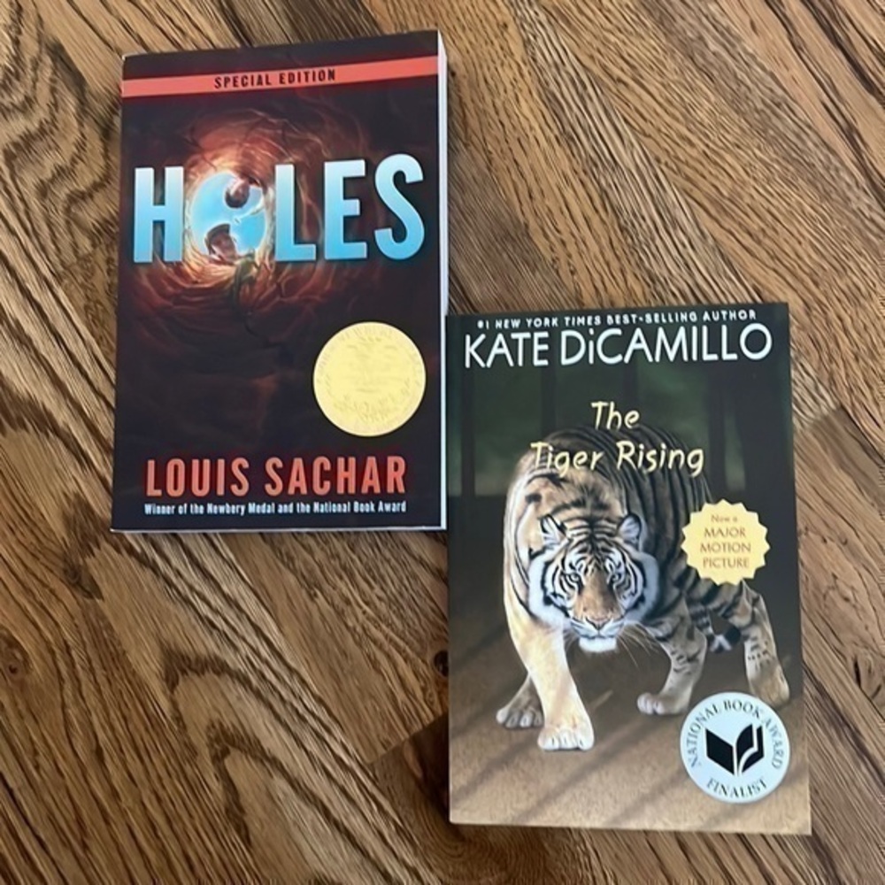Bundle of 2 elementary books